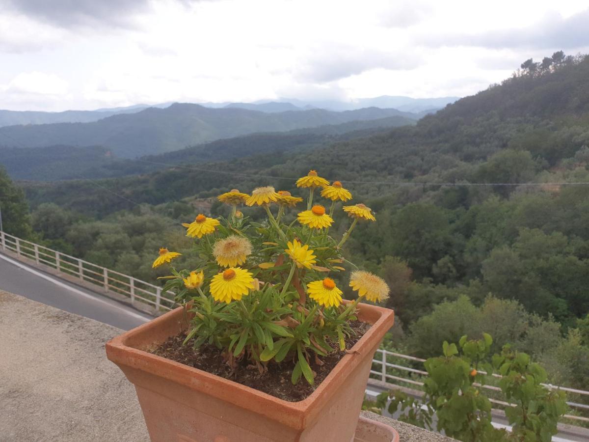 Bed & Breakfast Ca' Di Vissai Arnasco Εξωτερικό φωτογραφία