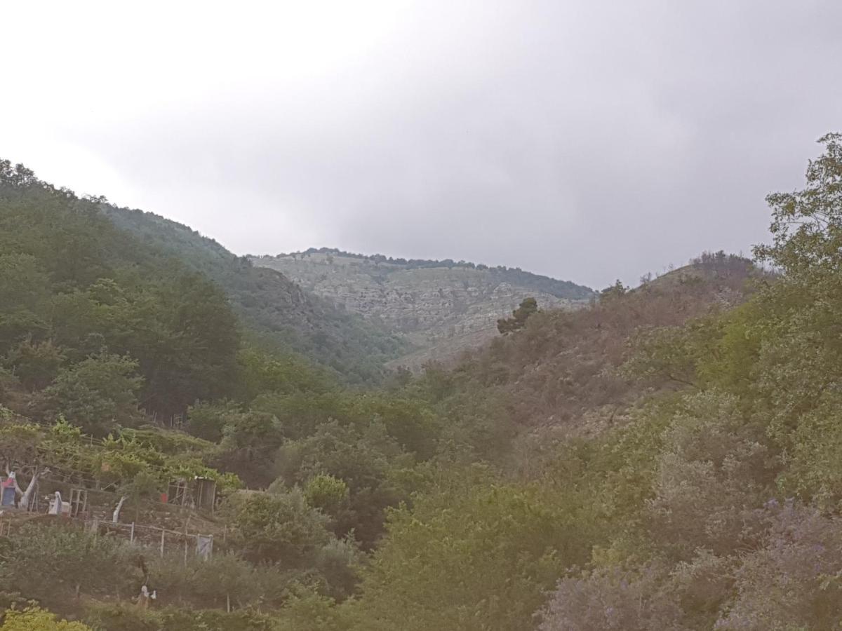 Bed & Breakfast Ca' Di Vissai Arnasco Εξωτερικό φωτογραφία