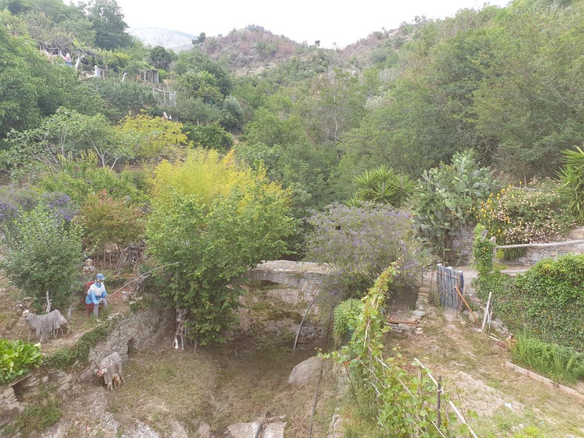 Bed & Breakfast Ca' Di Vissai Arnasco Εξωτερικό φωτογραφία