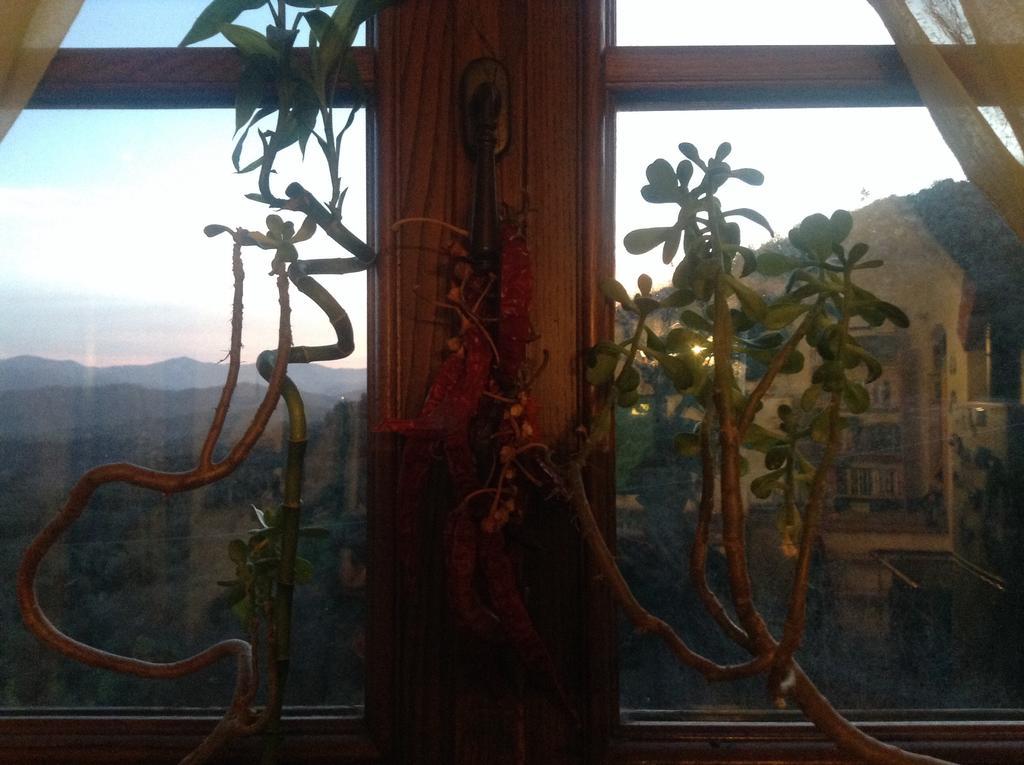 Bed & Breakfast Ca' Di Vissai Arnasco Εξωτερικό φωτογραφία