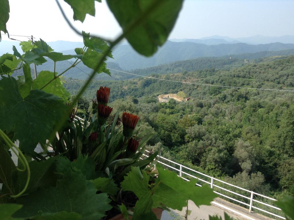 Bed & Breakfast Ca' Di Vissai Arnasco Εξωτερικό φωτογραφία