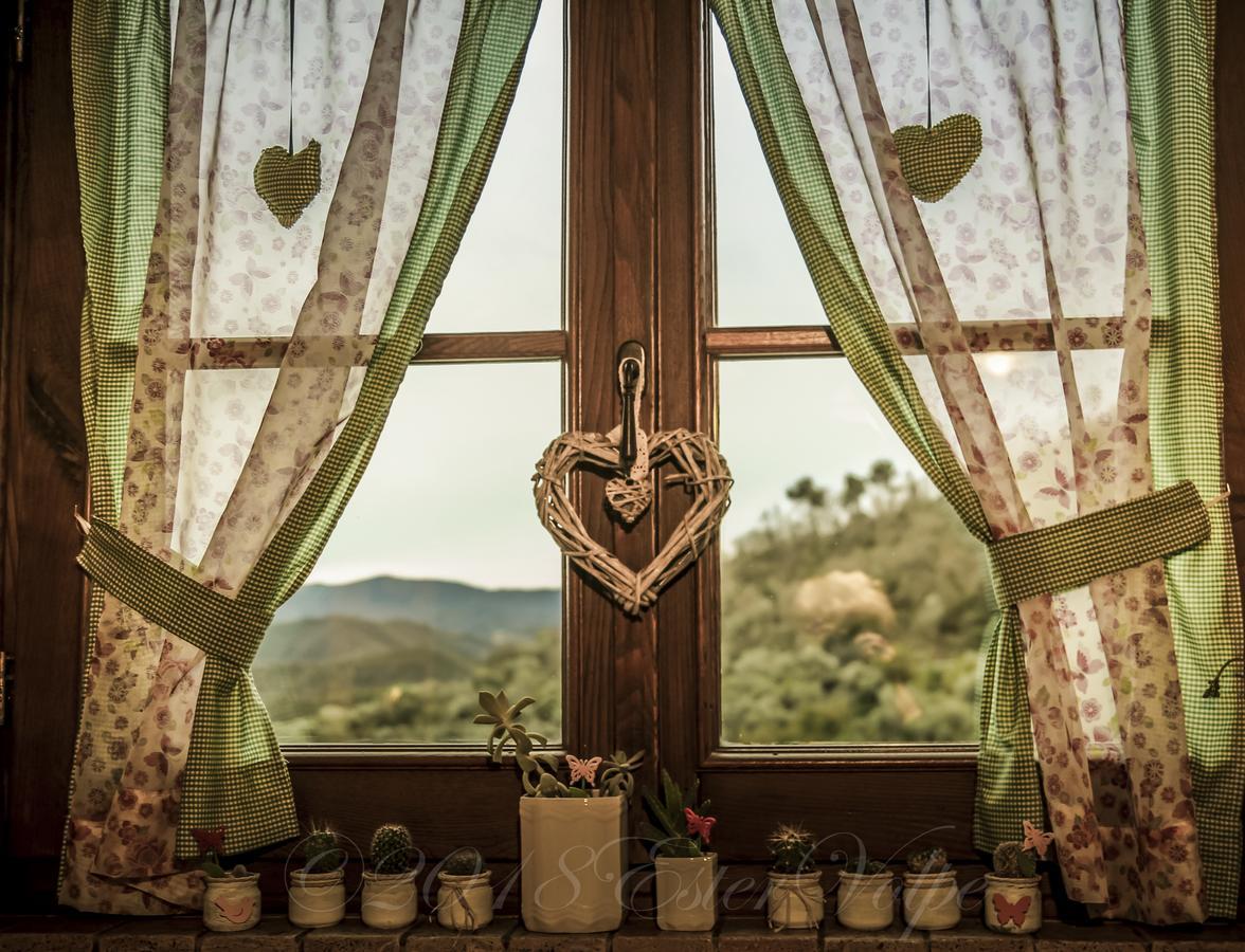 Bed & Breakfast Ca' Di Vissai Arnasco Εξωτερικό φωτογραφία