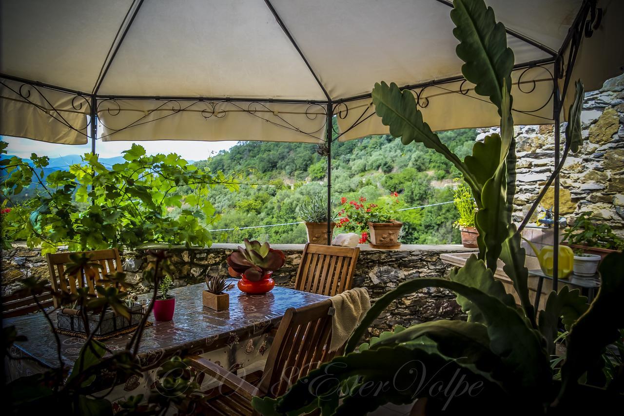 Bed & Breakfast Ca' Di Vissai Arnasco Εξωτερικό φωτογραφία
